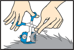 Step 2: Make single cuts, holding one lock out at a time. Comb against the fur.