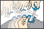 Step 3: Make rapid cuts to even out the fur.